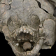 An infant skull wearing a “helmet” made from the cranium of a juvenile individual.